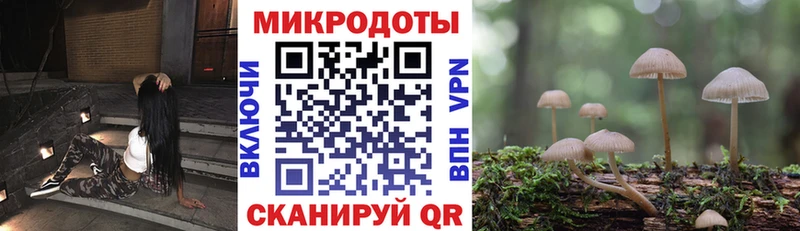 Псилоцибиновые грибы Magic Shrooms  Георгиевск 